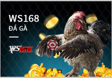 Ws168 Đá Gà